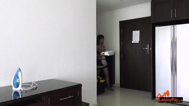 Ladyboy Maya Fucking Bareback