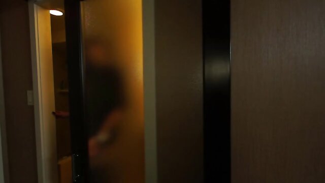 Ts Pornstar Venus Lux fucks houseboy ass raw