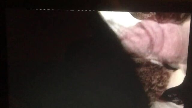 Born to Suck Dicks: Little Miss Cock Breath XXX