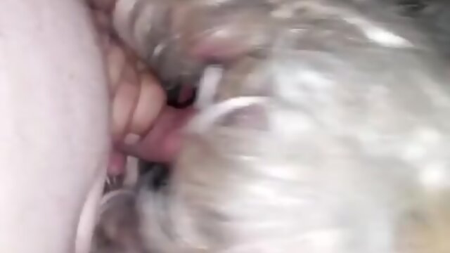 Blonde sissy slut suck daddy cock bareback bubble butt anal