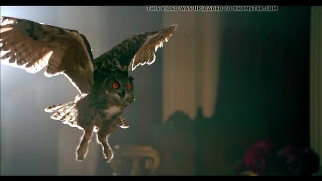 Katy Perry - Unconditional Shemale PMV