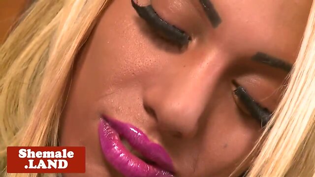 Glamour lingerie tgirl playing with her cock