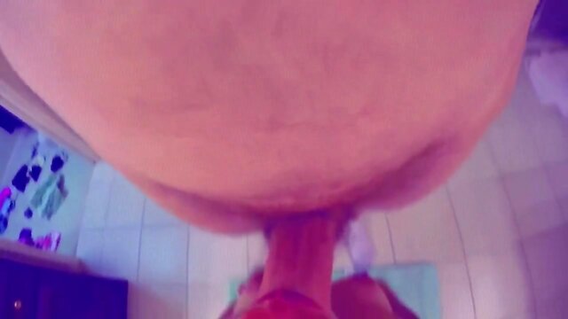 PANDORASISSY - BIMBO DREAM