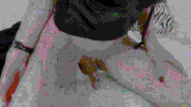 Gaping Anus Bailey Paris