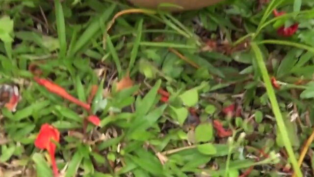 Intense Pleasure & Loads of Cumshots: Hot Cumpilation Video