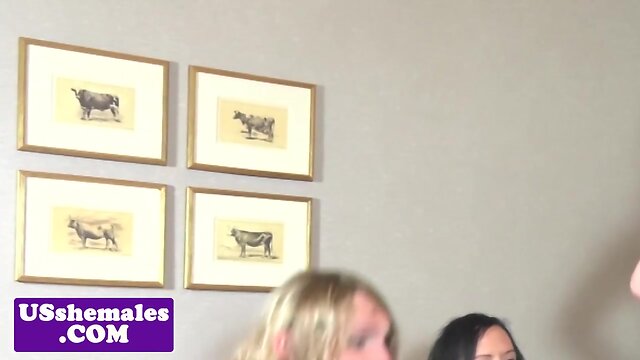 Lesbian trans amateurs spitroasting in trio