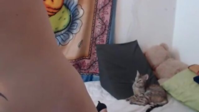 Sexy Shemale watch part 2 on madbidd.com