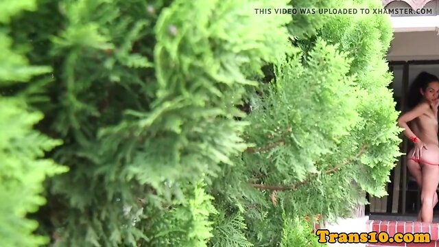 Latina tgirl toying tight ass while jerking