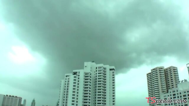 Busty ladyboy from Bangkok - Transsexual Angel