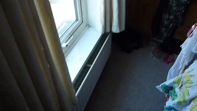 A Trip to Lincoln: Meeting Angel, the Committed Sissy