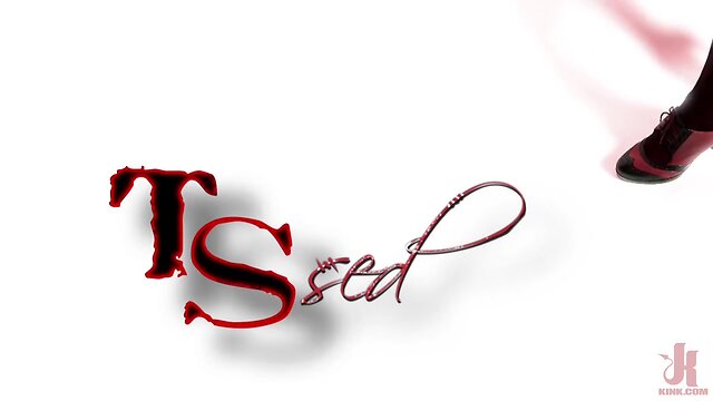 Pizza Delivery Guy Gets Seduced and Fucked by TS Foxxy