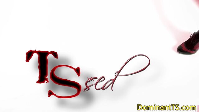 Latina ts dom ass fucks sub after rimming