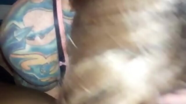 Mature CD vs The Anaconda