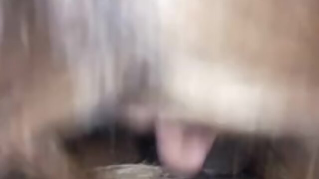 Mature CD vs The Anaconda