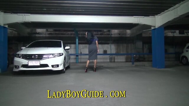 Wednesday Morning Cock