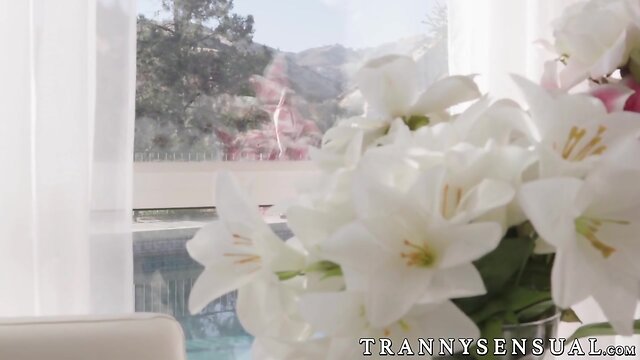 Trap real estate agent riding clients cock to make a sale