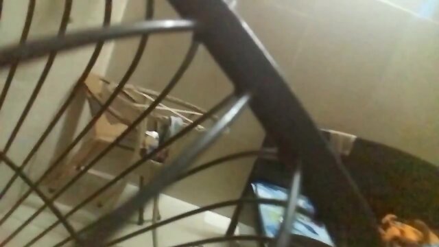 only me, my wife cuckold