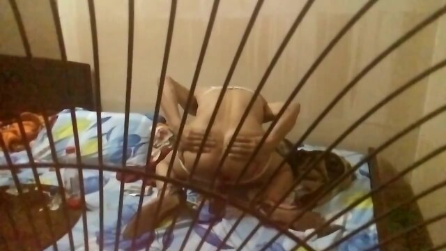 only me, my wife cuckold