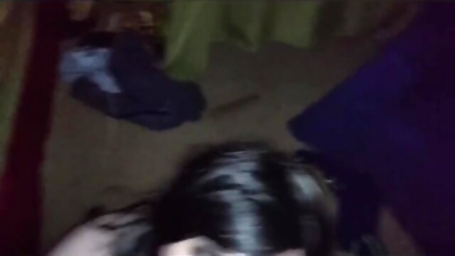 BBC BREEDS CD SISSY BAREBACK