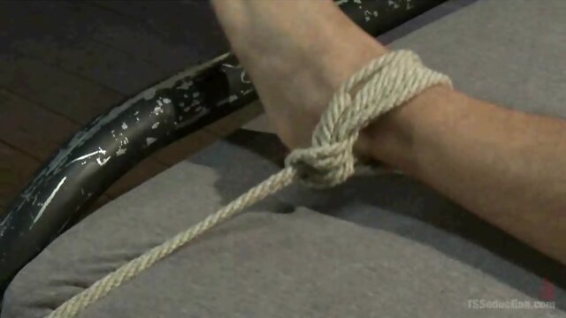 Shemale Domme Talks Dirty and Fucks Slave!