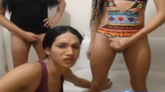 Naughty Trannies Anal Fuck and Hot Blowjobs