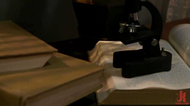 How to Handle a Lady's Schlong