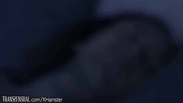 TransSensual Aubrey Kate Takes Studs Massive Prick Outside