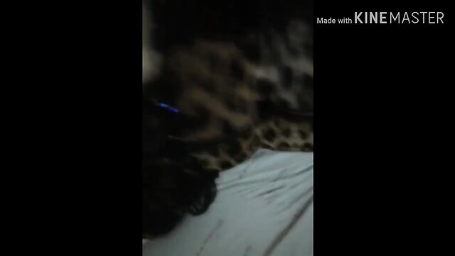 Cd whore fucking BBC