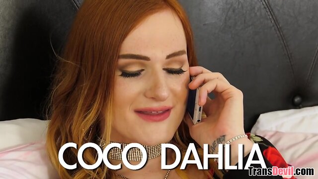 Coco Dahlia gets hammered in pantyhose