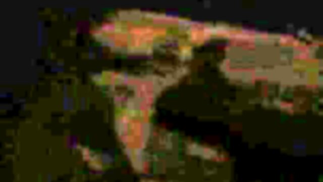 First date with a lovely transvestite