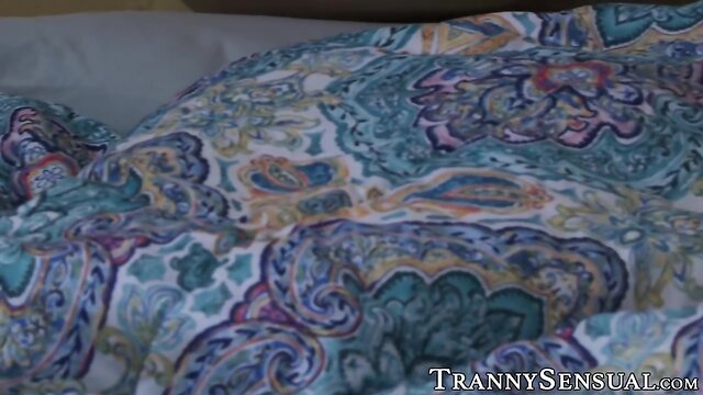 Succubus LADYBOY Foxxy having 69 fun before butt pounding