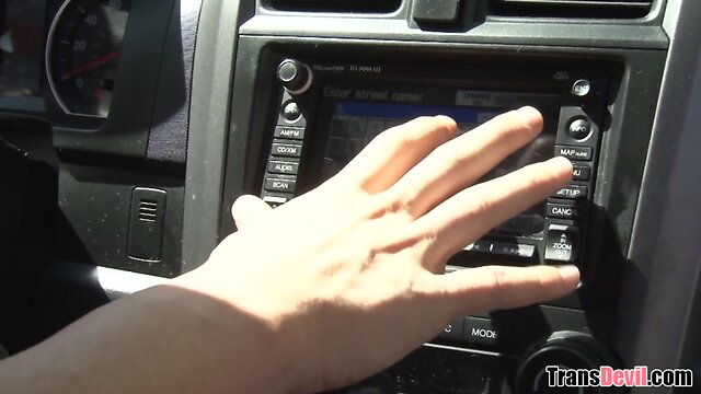 Christian fucks TV Kitty's butthole