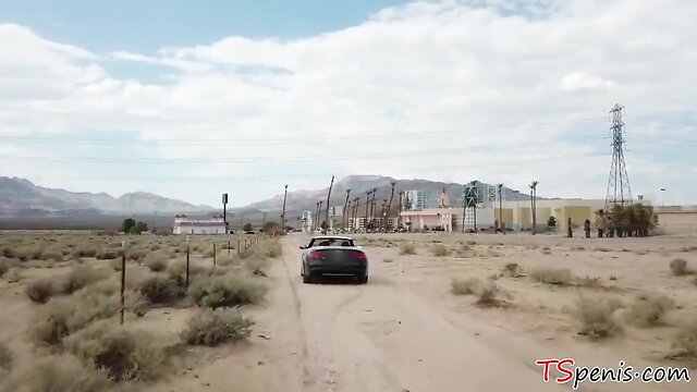 Transbabe Aubrey Kate loves anal