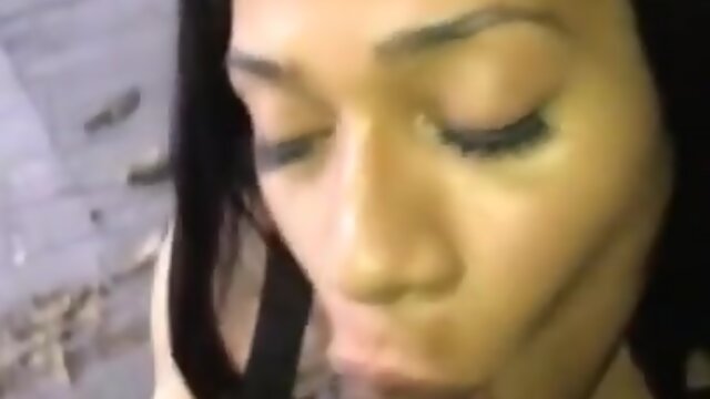 Anal Pleasure Reaches New Heights: Steamy Video