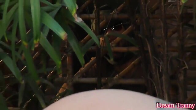 LADYBOY Nicolly Pantoja Makes a Guy Blow Her