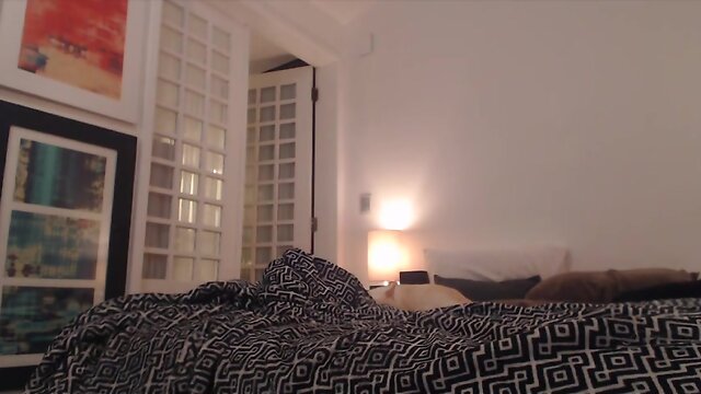 hard worker shy trap