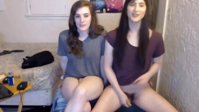 Two Shemales Schlong Stroking