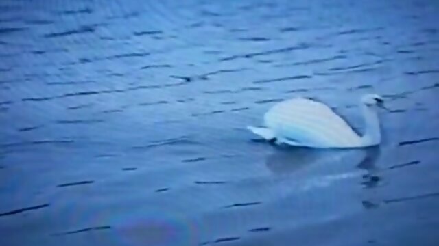 Outdoor Masturbation in Latex: Mature Amateur`s Naughty Dare