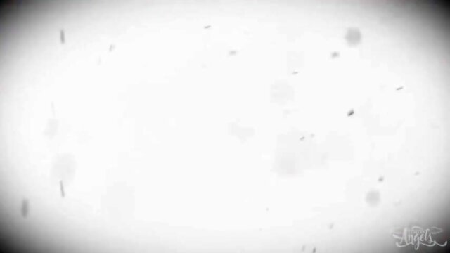 The Customer Is Always Right!