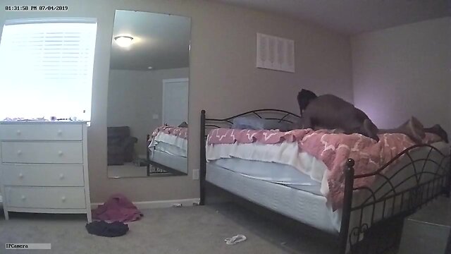 4th of july bbc fuck