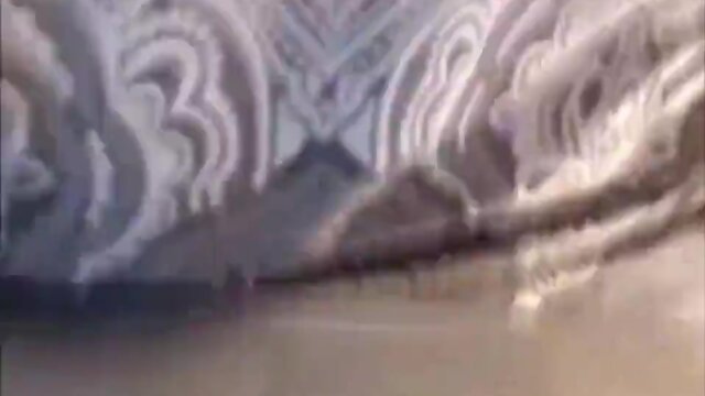 Black on white trans