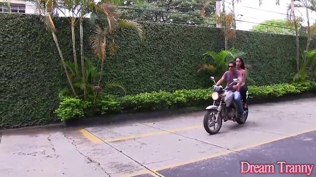 Shemale thays tavares goes up while getting anal