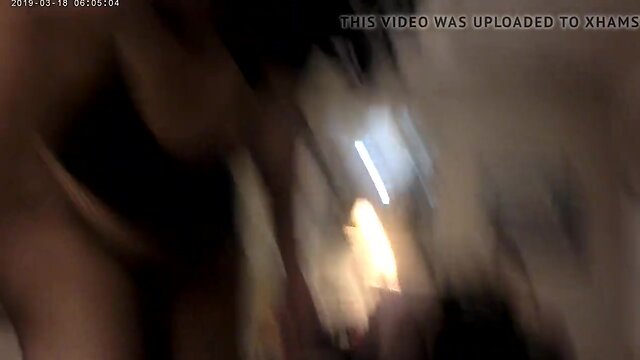 Bitch training angle 1