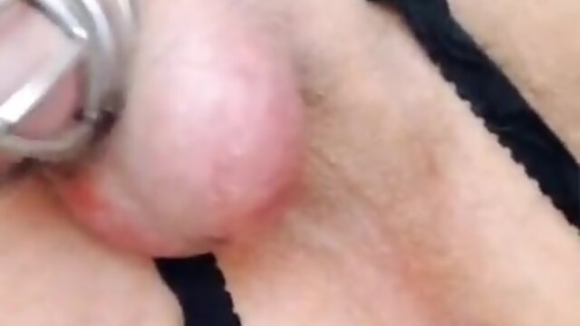 Sissy kitty gets desperate when daddys away on business