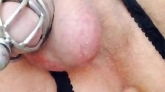 Sissy kitty gets desperate when daddys away on business