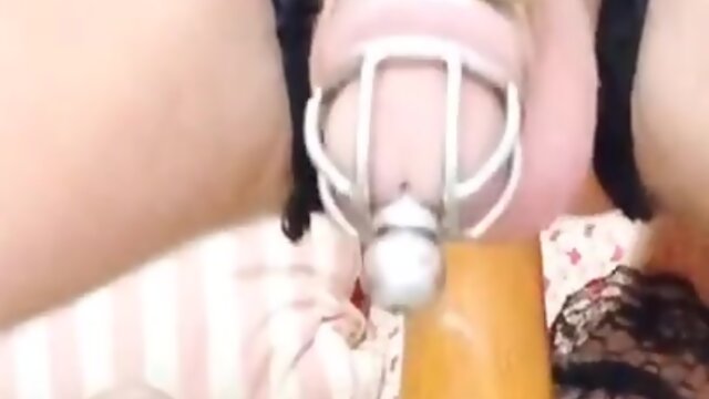 Sissy kitty gets desperate when daddys away on business