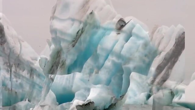 Sad but sexy transsexual in furs part 9