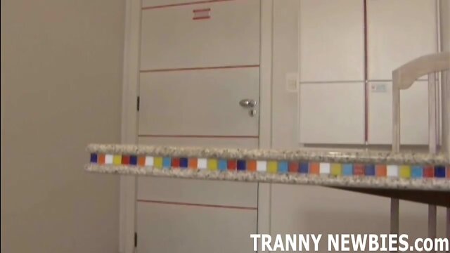 My First Time With a Transsexu: Anal Sex Adventure