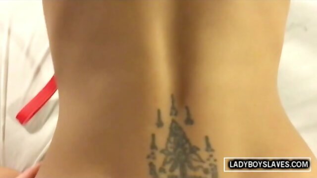 Teenie Transsexual Slave Got Cum Covered