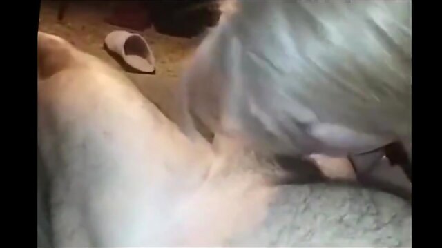 Bbw trans v.s. group of 3 for oral